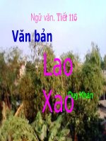 Tuần 31.Tiết 116( tiết 2 ).Văn bản Lao Xao-Duy Khán