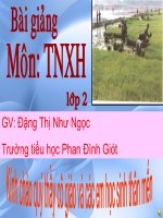 Cuộc sống xung quanh.