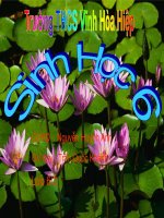 Bài 51. Đặc diểm thực vật hạt kín