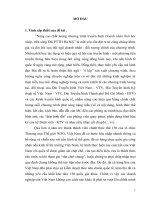 Nâng cao chất lượng chương trình truyền hình doanh nhân thời hội nhập, trên sóng đài phát thanh và truyền hình hà nội