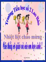 co quan ss cua thuc vat co hoa