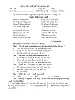 ĐỀ KT GHKII lớp 3 2010-2011 thử