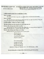 Đề thi TN THPT 2010