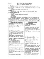 GIAO AN CHUAN CUA PHUONG