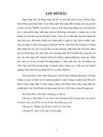 luận văn kinh tế luật Hiệp định về các khía cạnh liên quan đến thương mại của quyền sở hữu trí tuệ của WTO và vấn đề bảo hộ bằng sáng chế