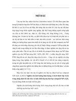 luận văn công nghệ hóa học Nghiên cứu ảnh hưởng hàm lượng và kích thước hạt Al2O3 trong dung dịch tới cấu trúc và tính chất lớp mạ hoá học compozit NiP-Al2O3