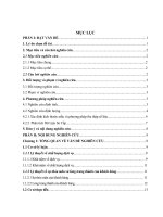 PHÂN TÍCH mối LIÊN hệ GIỮA CHẤT LƯỢNG DỊCH vụ, sự THỎA mãn và LÒNG TRUNG THÀNH của KHÁCH HÀNG tại SIÊU THỊ BIG c HUẾ