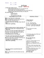 Ngữ văn 6 tuần 28, 29 (Đã chỉnh sửa)