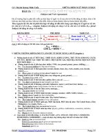 Sự hòa hợp giữa chủ từ và động từ