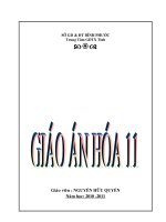 giáo án 11 cơ bản (đầy đủ)