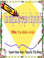 TNXH lớp 2 cây sống ở đâu BS