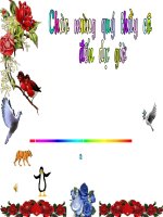 Đa dạng lớp thú- Bộ thú nguyệt, Bộ thú túi