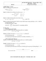 Kiểm tra Toán 11 - Học kì 2 - Đề số 2
