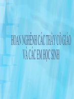 Bai 19 - Quy tắc hợp lực song song cùng chiều - Vl10
