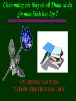 Nhen va su da dang cua lop hinh nhen.ppt