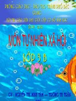 Trò chơi - TNXH - Cá - Lớp 3