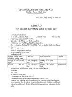 mau bao cao thanh tich GVCN