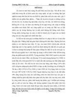 luận văn công nghệ hóa học Nghiên cứu ăn mòn sắt trong môi trường axit HCl, có sử dụng chất ức chế NaNO2''