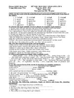 de thi chon hoc sinh gioi tieng anh 8