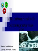 bai: bo thu huyet thu tui