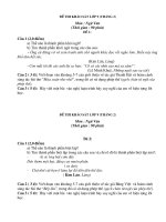 Đề thi khảo sát HS K9