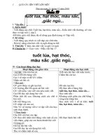 giao an tap viet  lop 1 hk2