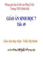 Tiết 49 Đa dạng của lớp thú Bộ dơi- Bộ cá voi