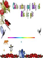 Bài 48: Sự đa đạng của lớp thú- Bộ thú nguyệt, Bộ thú túi