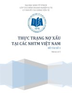Tiểu luận thực trạng nợ xấu tại các NHTM Việt Nam