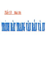 Bai 18 trinh bay trang van ban va in tiet 53