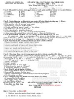 BỘ ĐỀ THI TỔNG HỢP LỚP 4 HSG