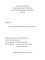 Tiểu luận: VẤN ĐỀ Ô NHIỄM MÔI TRƯỜNG Ở NÔNG THÔN Ở VIỆT NAM