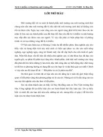 Tiểu luận Xử lý ô nhiễm và thoái hóa môi trường đất