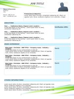 Mẫu CV-resume 15 original