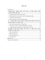 XU HƯỚNG SẢN XUẤT, TIÊU DÙNG NĂNG LƯỢNG TRONG NỬA ĐẦU THẾ KỶ XXI VÀ ĐỊNH HƯỚNG PHÁT TRIỂN NĂNG LƯỢNG CỦA VIỆT NAM