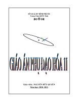 giáo án phụ đạo 11