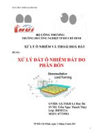Tiểu luận XỬ LÝ ĐẤT Ô NHIỄM ĐẤT DO PHÂN BÓN