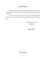 luận văn tài nguyên môi trường Nghiên cứu mô hình quản lý môi trường dựa vào cộng đồng tại xã Tiền Phong- Mê Linh- Hà Nội”.