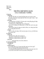 Trường Hợp Đồng Dạng Của Tam Giác Vuông lớp 8