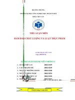 Đề tài: Với cương vị là một kỹ sư anh (chị) hãy tư vấn cho giám đốc doanh nghiệp chế biến thực phẩm, thủy sản xây dựng và áp dụng chương trình quản lý chất lượng theo HACCP cho sản phẩm của doanh nghiệp.