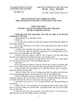 Bao cao so ket nua nhiem ki thuc hien Nghi quyet Dai hoi X  CDVN