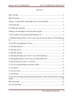 Tiểu luận XỬ LÝ Ô NHIỄM KLN TRONG ĐẤT