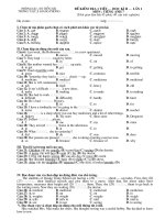 ĐÊ KIỂM TRA LẦN I - KÌ II