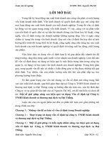 Một số giải pháp nâng cao hiệu quả sử dụng Vốn cố định tại Công ty TNHH Kinh doanh và thương mại dịch vụ Đại Thắng