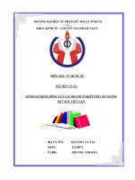 Đánh giá hoạt động của các doanh nghiệp FDI vào ngành dệt may Việt Nam