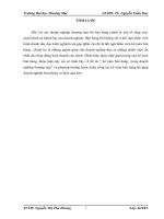 luận văn kế toán dh thương mại kế toán bán hàng  trong doanh nghiệp thương mại