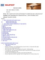 BÀI TẬP QUẢN TRỊ ĐA VĂN HÓA Hãy suy nghĩ từ góc độ văn hóa cho Marketing 4P  sản phẩm tự lựa chọn  quốc gia lựa chon