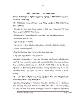 báo cáo thực tập tổng hợp khoa tài chính ngân hàng tại Ngân hàng Nông nghiệp và Phát triển Nông thôn chi nhánh Văn Giang.