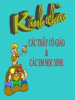 Tiet 28 Hoc hat bai Chu ech con