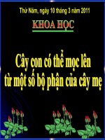 Cay con duoc sinh ra tu mot bo phan của me